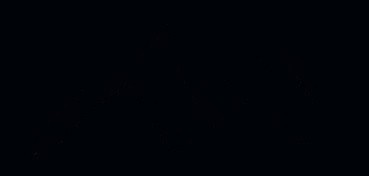 PENNARELLO PER PORCELLANA PER CONTORNI BRILLANTE NERO