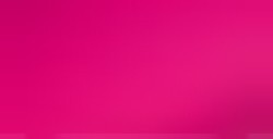 STABILO CARBOTHELLO ROSE FUCHSIA Nº 335