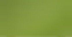 STABILO CARBOTHELLO LEAF GREEN N. 575