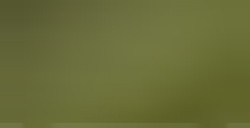 STABILO CARBOTHELLO OLIVE GREEN N. 585