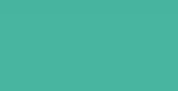 LIQUITEX PAINT MARKER PUNTA FINE BRIGHT AQUA GREEN N. 0660