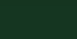 LIQUITEX PAINT MARKER PUNTA FINE PHTHALOCYANINE GREEN (BLUE SHADE) N. 0317
