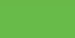 LIQUITEX PAINT MARKER PUNTA FINE VIVID LIME GREEN N. 0740