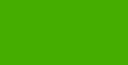 LIQUITEX PAINT MARKER PUNTA FINE FLUORESCENT GREEN N. 0985