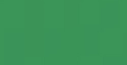 LIQUITEX PAINT MARKER PUNTA LARGA LIGHT GREEN PERMANENT N. 0312