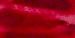 DANIEL SMITH ACQUERELLO EXTRAFINE IN STICK PERMANENT ALIZARIN CRIMSON (PIGMENTO: PR 177 - PV 19 - PR 149) N. 10
