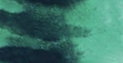 DANIEL SMITH ACQUERELLO EXTRAFINE IN STICK PHTHALO GREEN (BLUE SHADE) (PIGMENTO: PG 7) N. 07