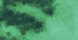 DANIEL SMITH ACQUERELLO EXTRAFINE IN STICK PHTHALO GREEN (YELLOW SHADE) (PIGMENTO: PG 36) N. 26