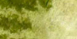 DANIEL SMITH EXTRA FINE WATERCOLOR STICK SERPENTINE GENUINE (PIGMENTO: GENUINE SERPENTINE) Nº 35