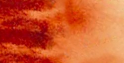 DANIEL SMITH ACQUERELLO EXTRAFINE IN STICK QUINACRIDONE BURNT ORANGE (PIGMENTO: PO 48) N. 05