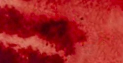 DANIEL SMITH ACQUERELLO EXTRAFINE IN STICK QUINACRIDONE BURNT SCARLET (PIGMENTO: PR 206) N. 15