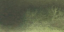 AQUARIUS ROMAN SZMAL EXTRA FINE WATERCOLOR - FOREST GREEN - SERIE 2 - Nº 271