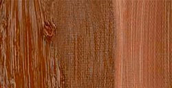 REMBRANDT COLORI AD OLIO BROWN OCHRE SERIE 1 N. 430