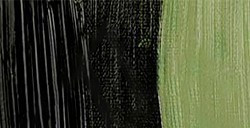 REMBRANDT COLORI AD OLIO OLIVE GREEN SERIE 2 N. 620