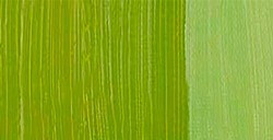 REMBRANDT COLORI AD OLIO CINNABAR GREEN LIGHT SERIE 2 N. 626