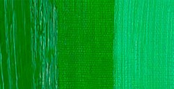REMBRANDT COLORI AD OLIO PERMANENT GREEN MEDIUM SERIE 3 N. 614