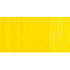 REMBRANDT COLORI AD OLIO CADMIUM YELLOW LIGHT SERIE 4 N. 208