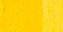 REMBRANDT COLORI AD OLIO CADMIUM YELLOW MEDIUM SERIE 4 N. 271
