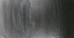 SCHMINCKE CARBONCINO LIQUIDO DI SEMI D'UVA