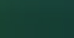 LÁPIZ DE COLOR FABER-CASTELL POLYCHROMOS - VERDE DE HOOKER Nº 159