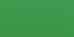 FABER-CASTELL POLYCHROMOS MATITA COLORATA - EMERALD GREEN N. 163