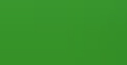 FABER-CASTELL POLYCHROMOS MATITA COLORATA - GRASS GREEN N. 166