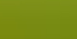 FABER-CASTELL POLYCHROMOS MATITA COLORATA - EARTH GREEN YELLOW N. 168