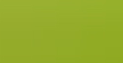 FABER-CASTELL POLYCHROMOS MATITA COLORATA - MAY GREEN N. 170