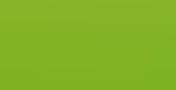 FABER-CASTELL POLYCHROMOS MATITA COLORATA - LIGHT GREEN N. 171