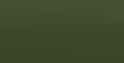 FABER-CASTELL POLYCHROMOS MATITA COLORATA - CHROMIUM GREEN OPAQUE N. 174