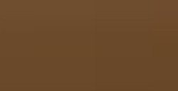 LÁPIZ DE COLOR FABER-CASTELL POLYCHROMOS - BISTRE Nº 179