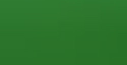 FABER-CASTELL POLYCHROMOS MATITA COLORATA - PERMANENT GREEN N. 266