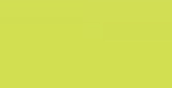 FABER-CASTELL PITT PEN PENNARELLO PUNTA PENNELLO - LIGHT GREEN B N. 171