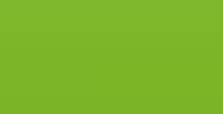 FABER-CASTELL PITT PEN PENNARELLO PUNTA PENNELLO - LEAF GREEN N. 112