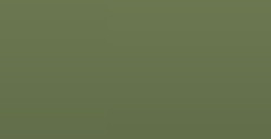 FABER-CASTELL PITT PEN PENNARELLO PUNTA PENNELLO - CHROMIUM OXIDE GREEN N. 174