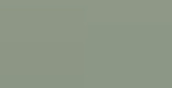 FABER-CASTELL PITT PEN PENNARELLO PUNTA PENNELLO - EARTH GREEN N. 172