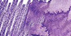 LÁPIZ ACUARELABLE FABER-CASTELL ALBRECHT DÜRER - VIOLETA Nº 138