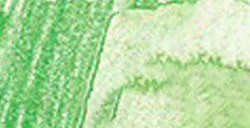 LÁPIZ ACUARELABLE FABER-CASTELL ALBRECHT DÜRER - VERDE PERMANENTE Nº 266