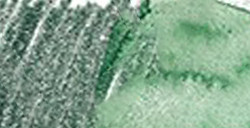 FABER-CASTELL ALBRECHT DÜRER MATITA ACQUERELLABILE - CHROME OXIDE GREEN N. 278