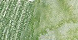 LÁPIZ ACUARELABLE FABER-CASTELL ALBRECHT DÜRER - VERDE OLIVA AMARILLENTO Nº 173