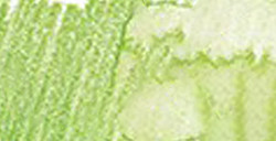 LÁPIZ ACUARELABLE FABER-CASTELL ALBRECHT DÜRER - VERDE DE MAYO Nº 170