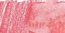 LÁPIZ ACUARELABLE FABER-CASTELL ALBRECHT DÜRER - CORAL Nº 131