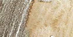 FABER-CASTELL ALBRECHT DÜRER MATITA ACQUERELLABILE - NOUGAT N. 178