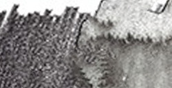 FABER-CASTELL ALBRECHT DÜRER MATITA ACQUERELLABILE - WARM GREY VI N. 275