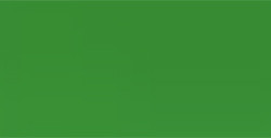 HOLBEIN MATITA COLORATA SUMMER GREEN N. 245
