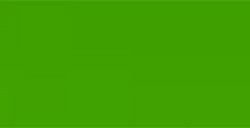HOLBEIN MATITA COLORATA EVERGREEN N. 254