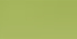 HOLBEIN MATITA COLORATA WILLOW GREEN N. 270