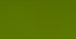 HOLBEIN MATITA COLORATA MOSS GREEN N. 290