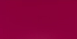 HOLBEIN MATITA COLORATA BORDEAUX RED N. 469
