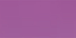 HOLBEIN MATITA COLORATA ROSE GREY N. 495